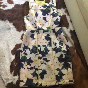 JCrew floral stretch dress